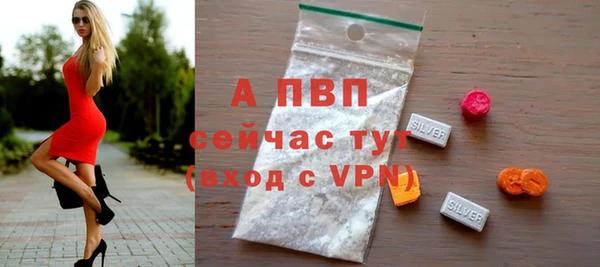 гидра Володарск