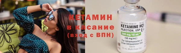 прущие грибы Вяземский