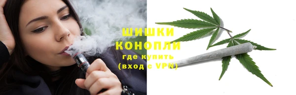 гидра Володарск