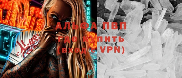 гидра Володарск