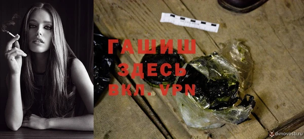 прущие грибы Вяземский