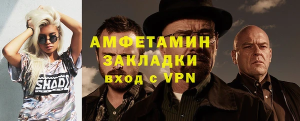 прущие грибы Вяземский