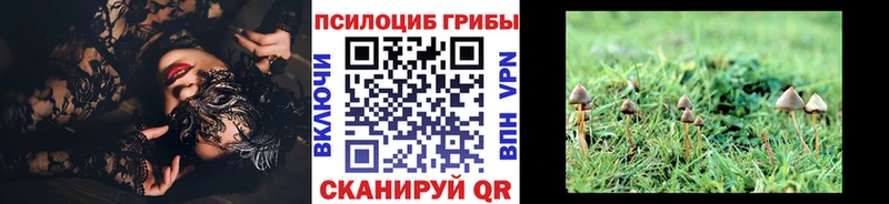 Псилоцибиновые грибы GOLDEN TEACHER  ОМГ ОМГ ТОР  Звенигово 