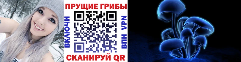 Галлюциногенные грибы Cubensis Звенигово